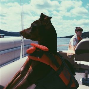 Meet your Posher, Emma